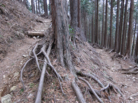 20190214hike (147)